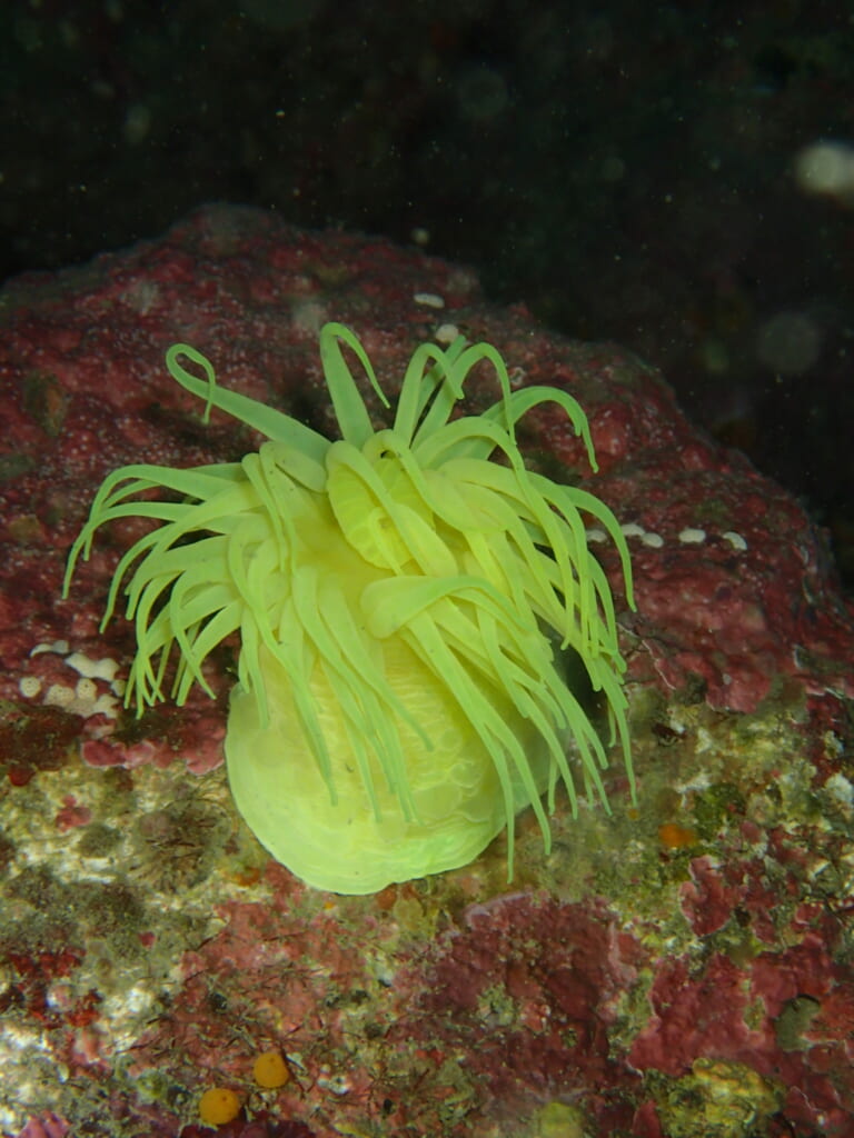11月11日平日みなべツアー