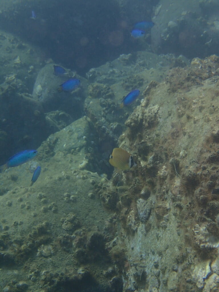 11月16日　音海ドライツアー