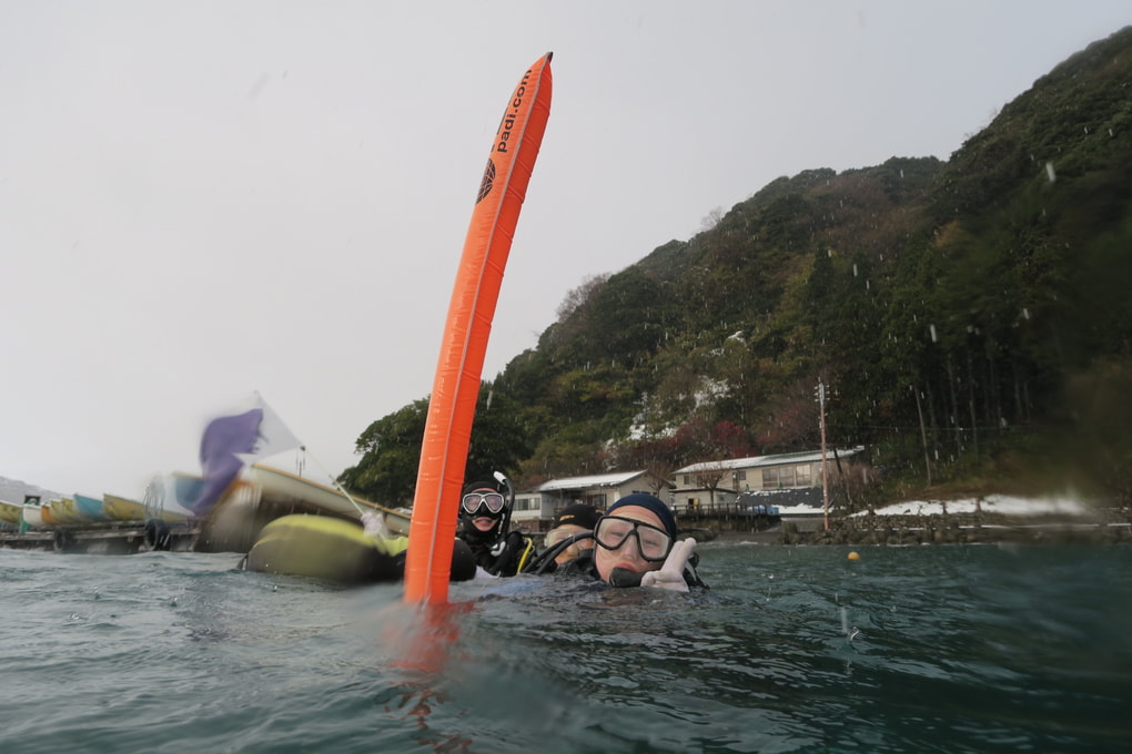 Image_8 2020-12-18_13-30-00
